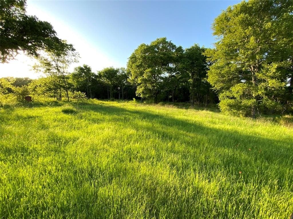 31.03 acres in Limestone County featured view