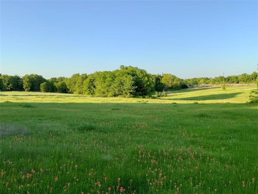 31.03 acres in Limestone County gallery image 3