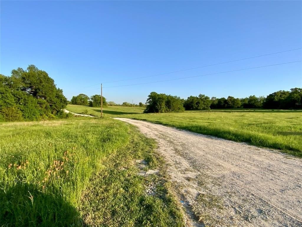 31.03 acres in Limestone County gallery image 2