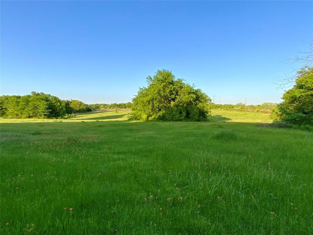 31.03 acres in Limestone County gallery image 4