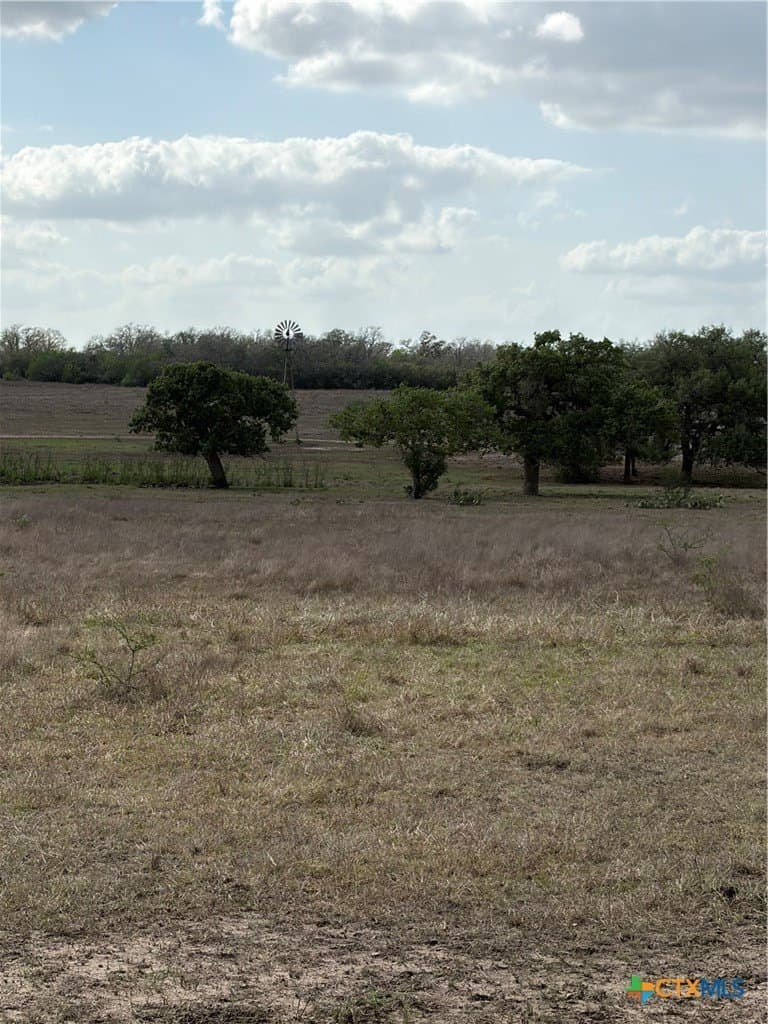 187 acres in DeWitt County - photo 17