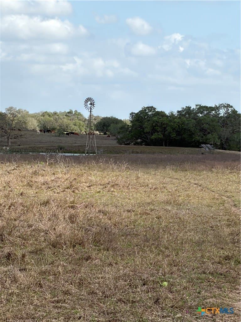 187 acres in DeWitt County - photo 22