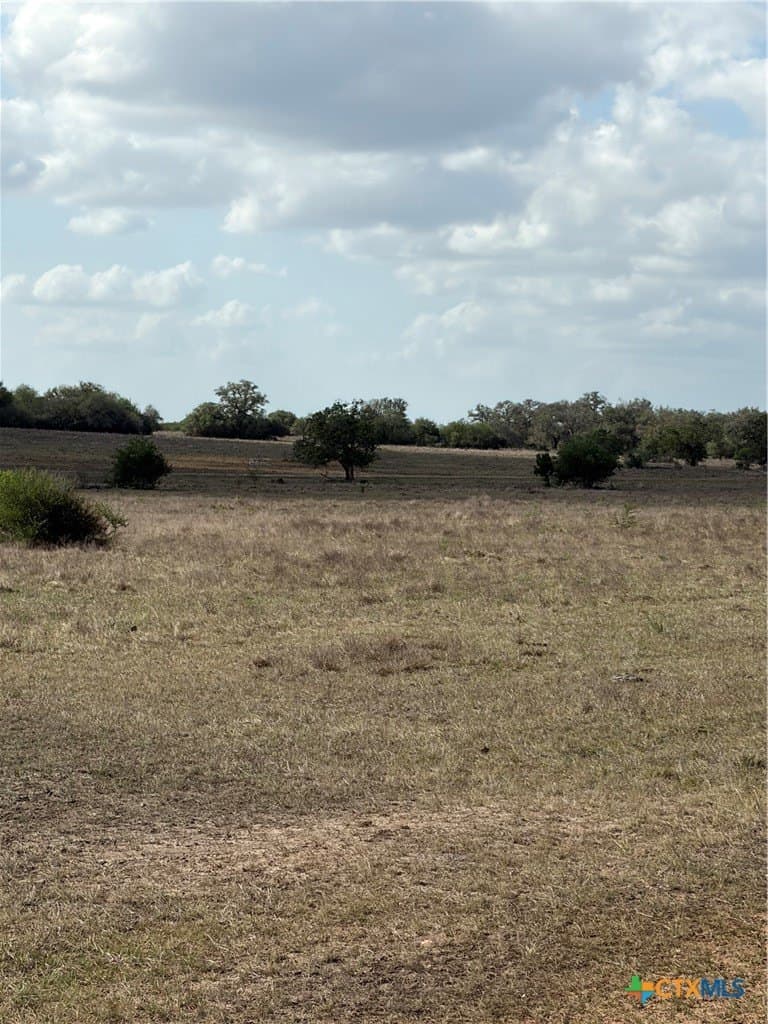 187 acres in DeWitt County gallery image 4