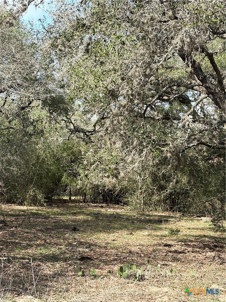 187 acres in DeWitt County - photo 7