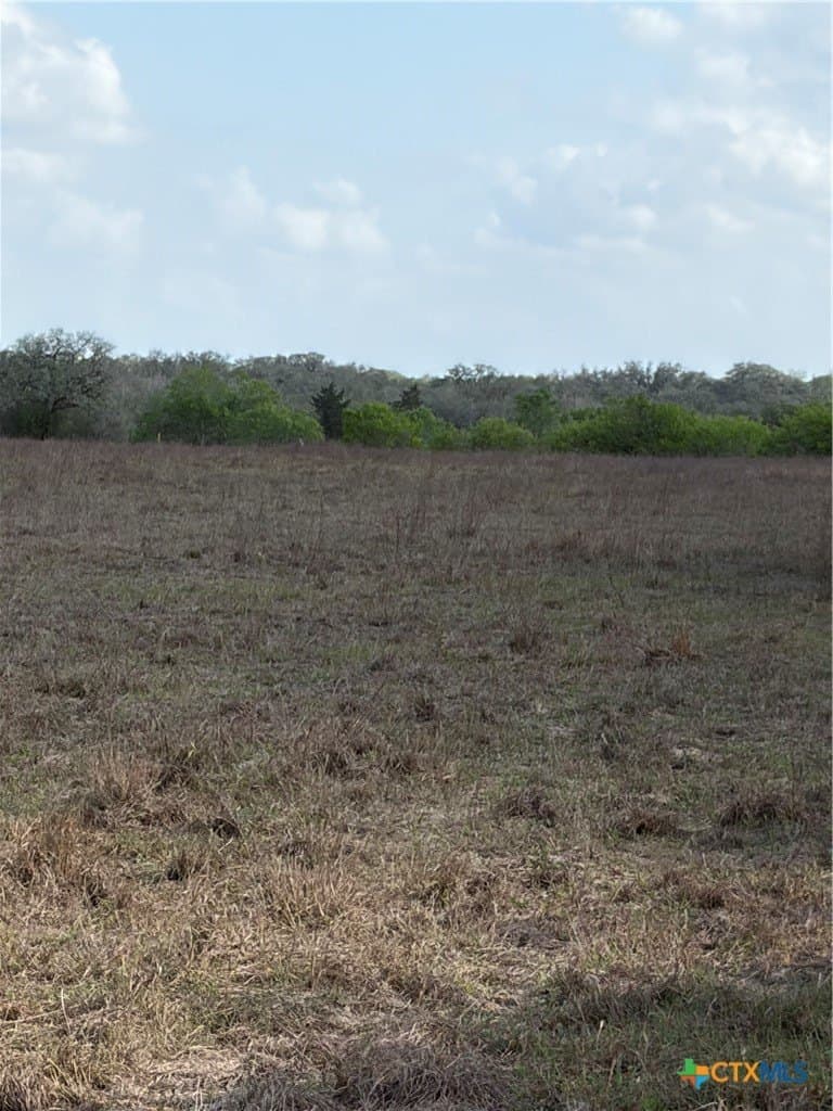 187 acres in DeWitt County - photo 21