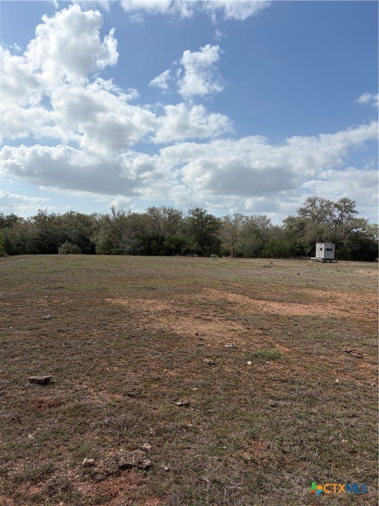 187 acres in DeWitt County - photo 11