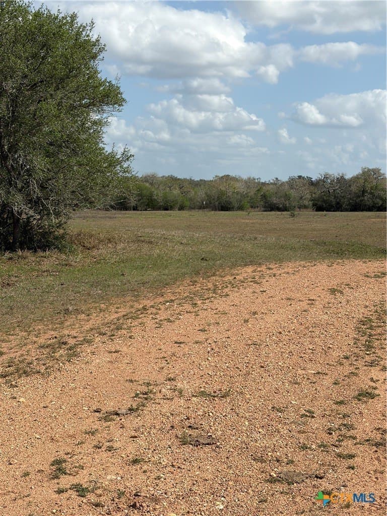187 acres in DeWitt County - photo 14