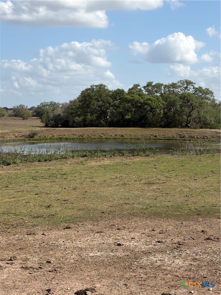 187 acres in DeWitt County gallery image 3