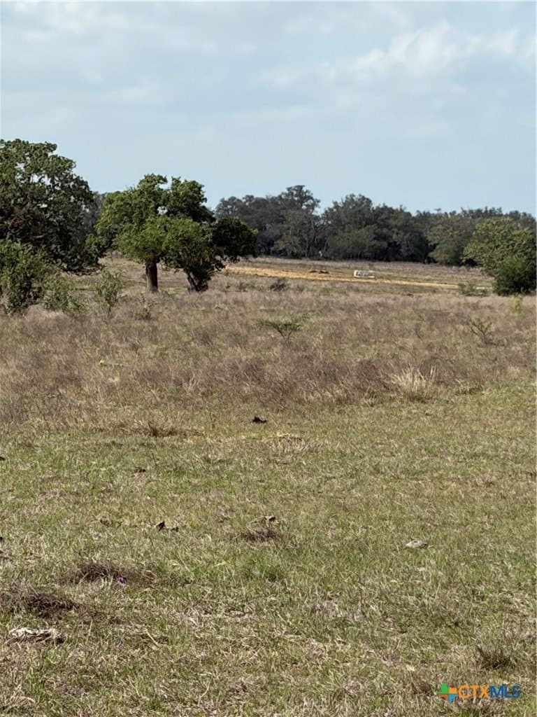 187 acres in DeWitt County - photo 13