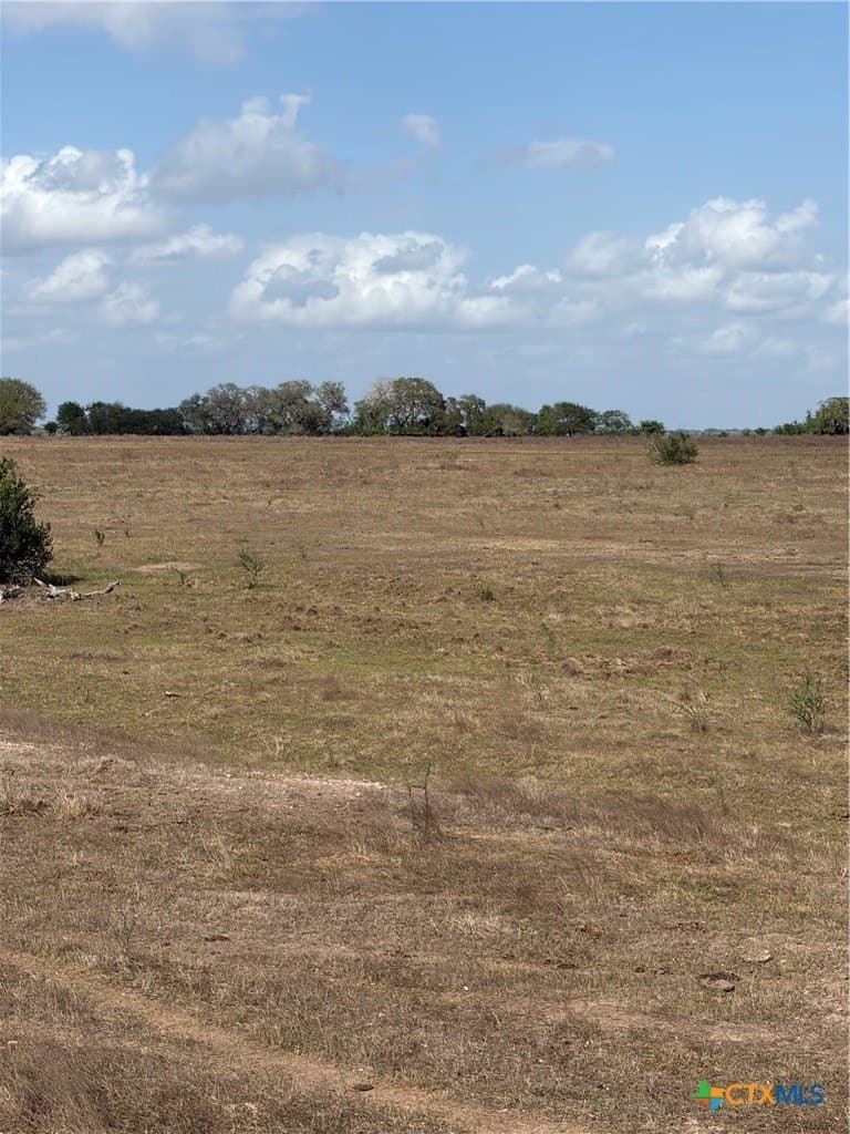 187 acres in DeWitt County - photo 6