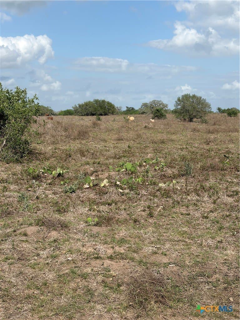 187 acres in DeWitt County - photo 10