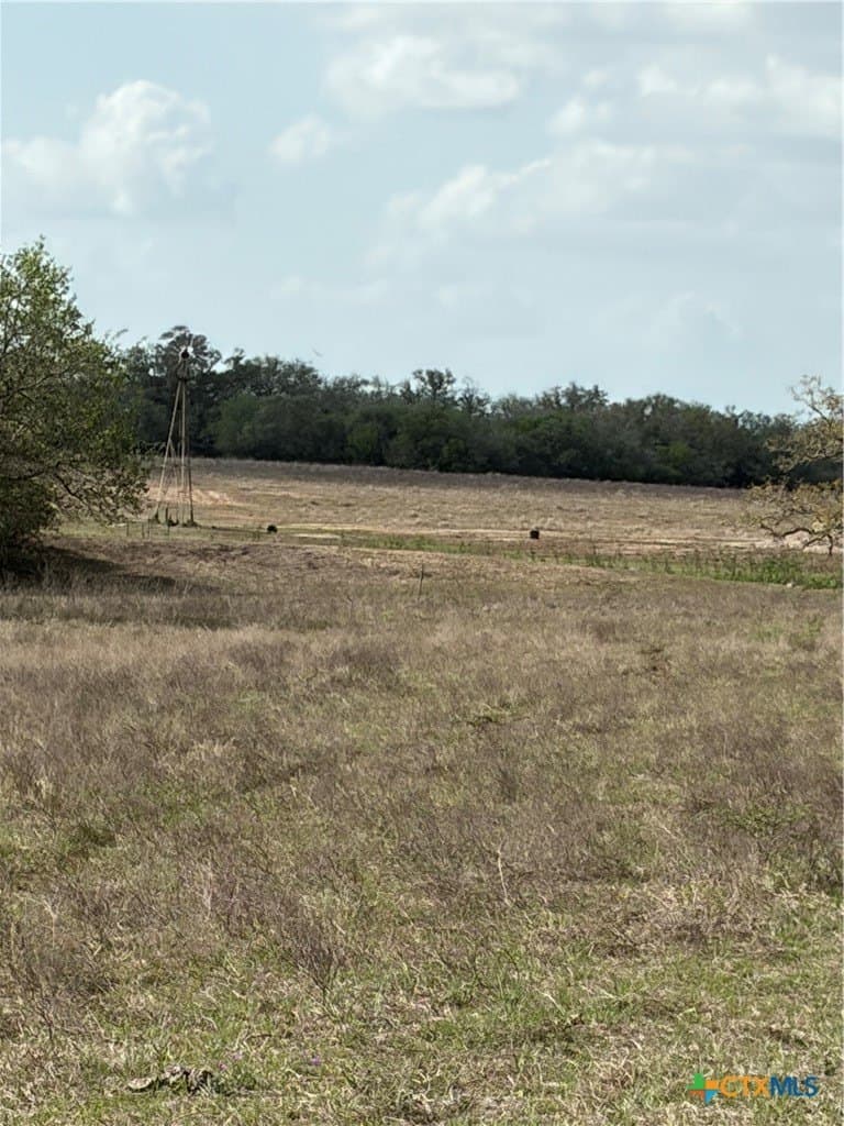 187 acres in DeWitt County - photo 12