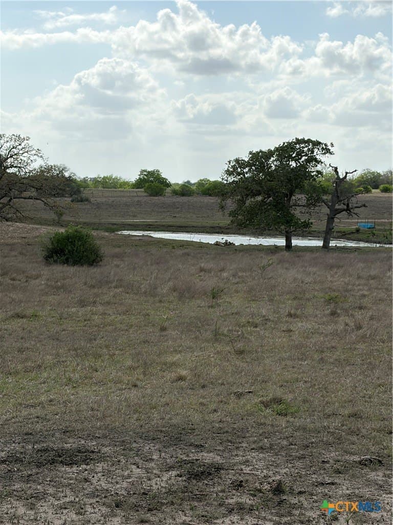 187 acres in DeWitt County - photo 18
