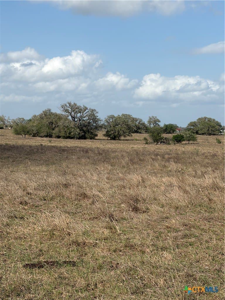 187 acres in DeWitt County - photo 9