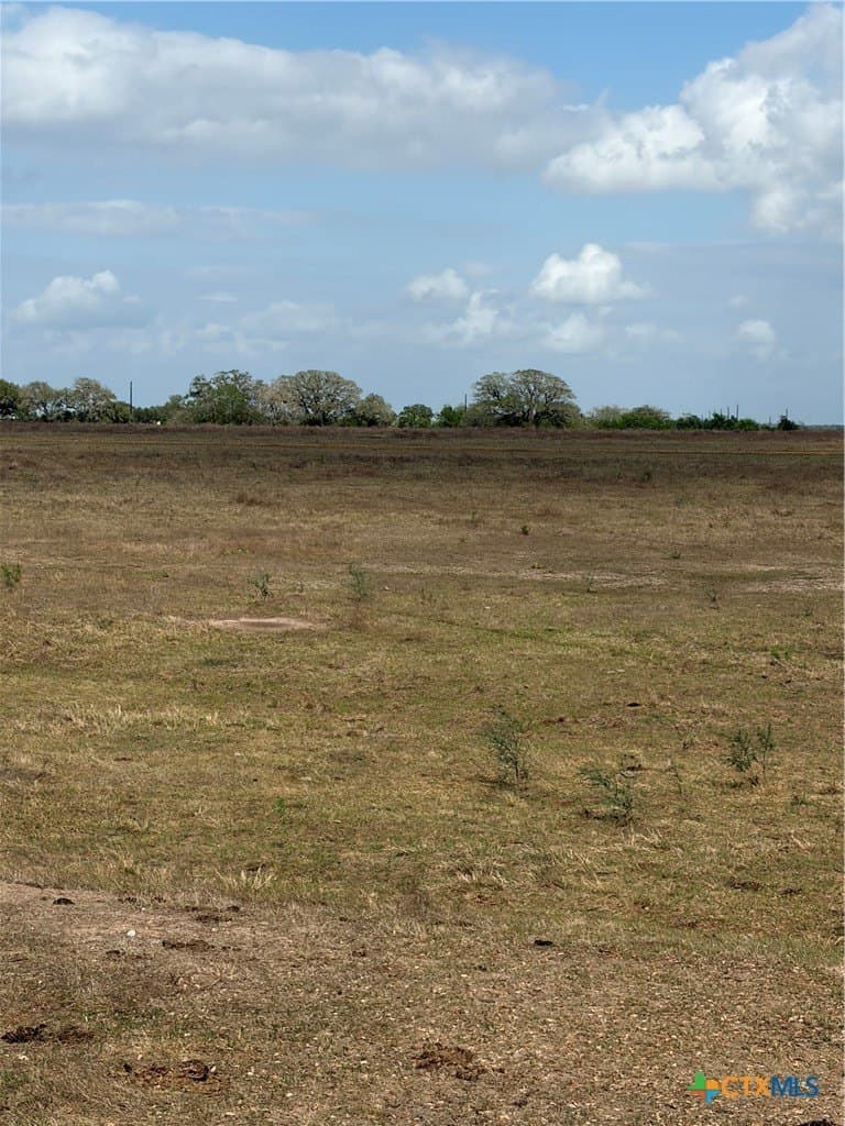 187 acres in DeWitt County featured view