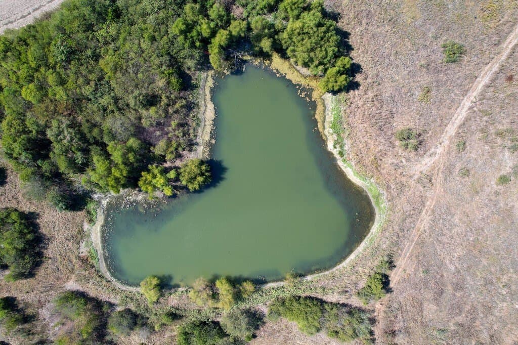 30 acres in Ellis County - photo 7
