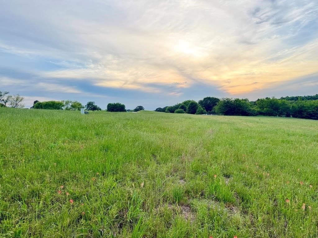 6.6 acres in Henderson County - photo 10