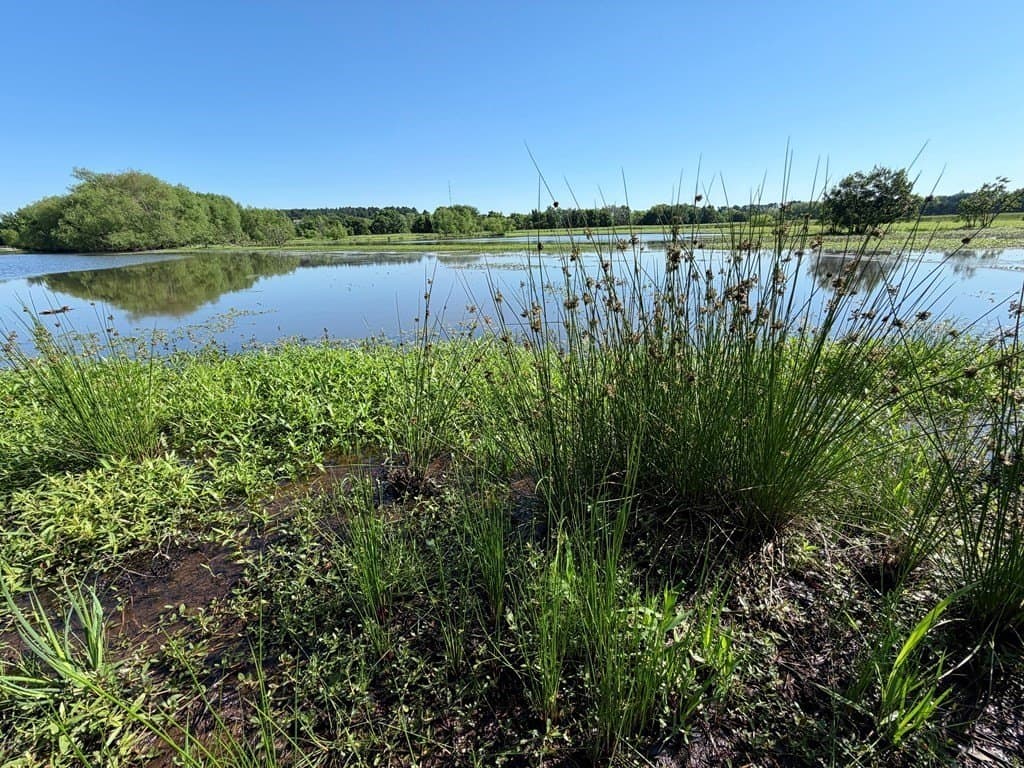 6.6 acres in Henderson County - photo 7
