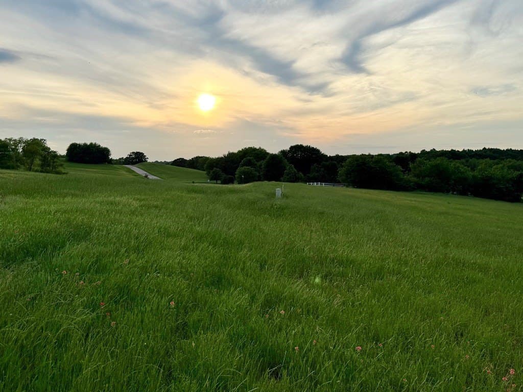 6.6 acres in Henderson County - photo 3