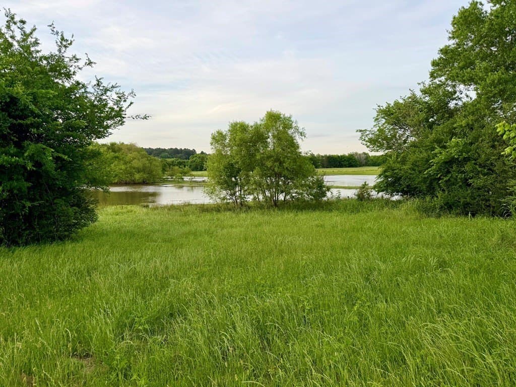 6.6 acres in Henderson County - photo 4