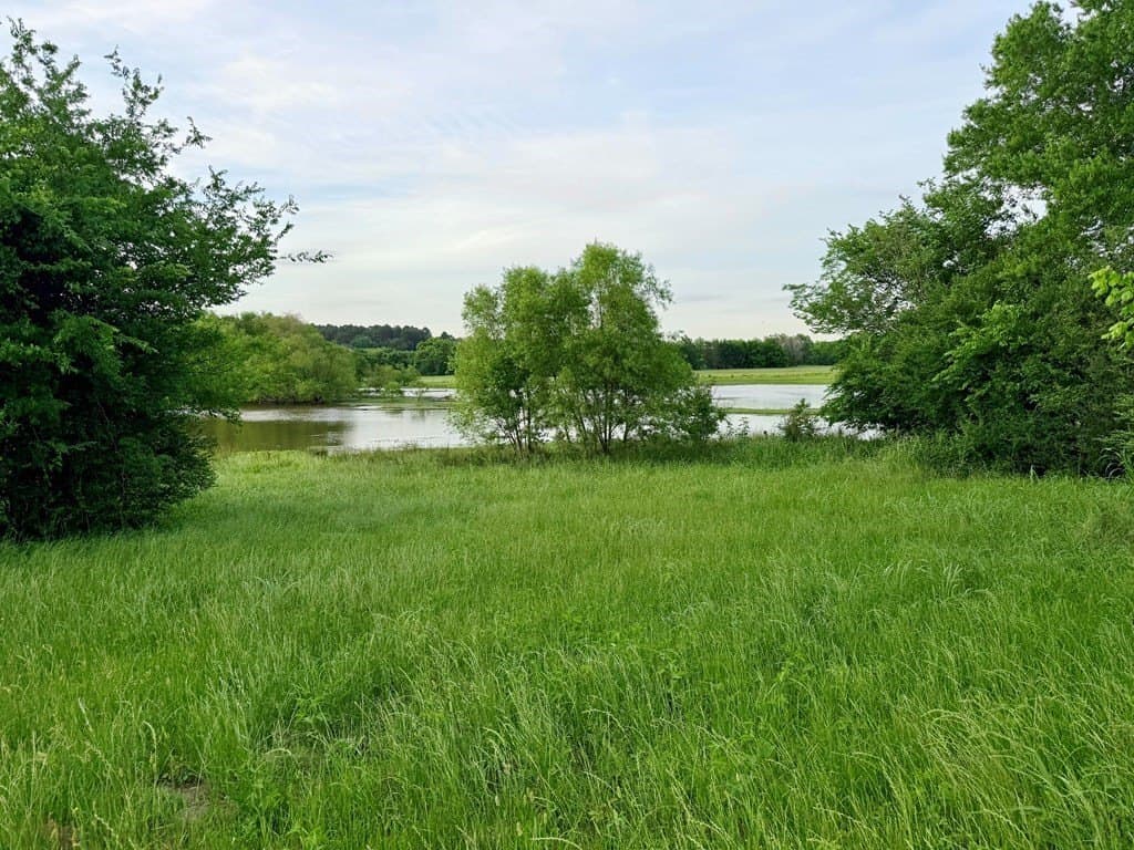 6.6 acres in Henderson County - photo 8
