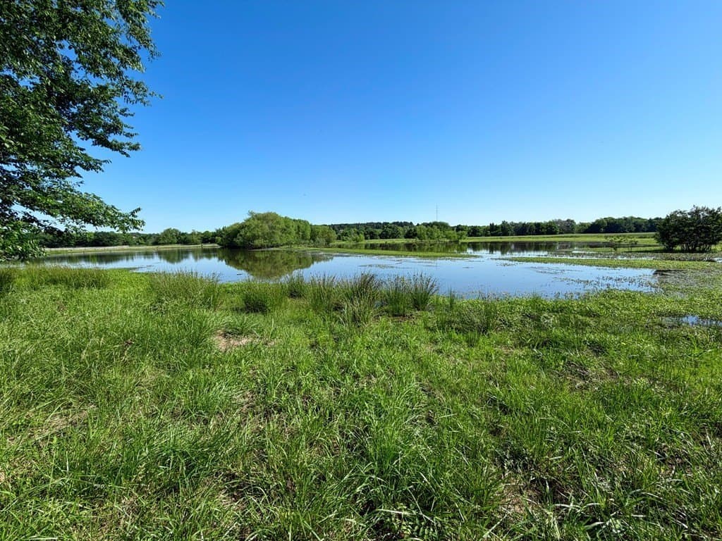 6.6 acres in Henderson County - photo 5