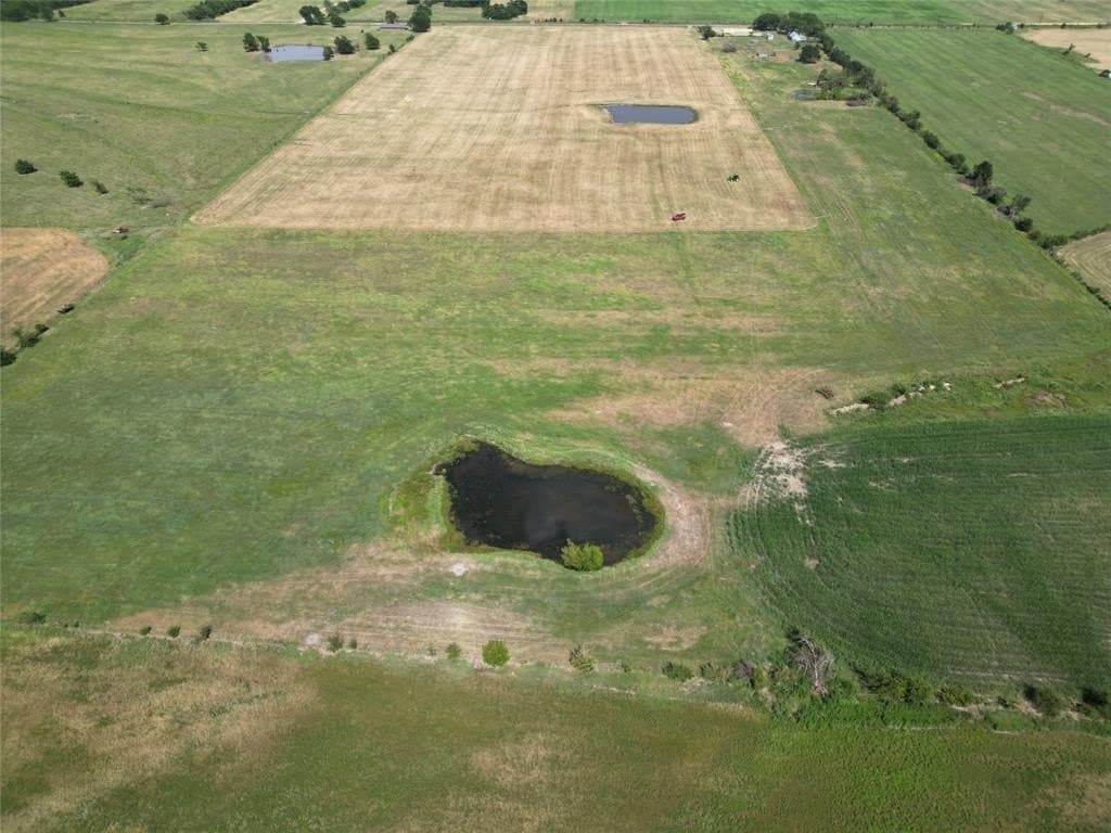 35 acres in Fannin County gallery image 3