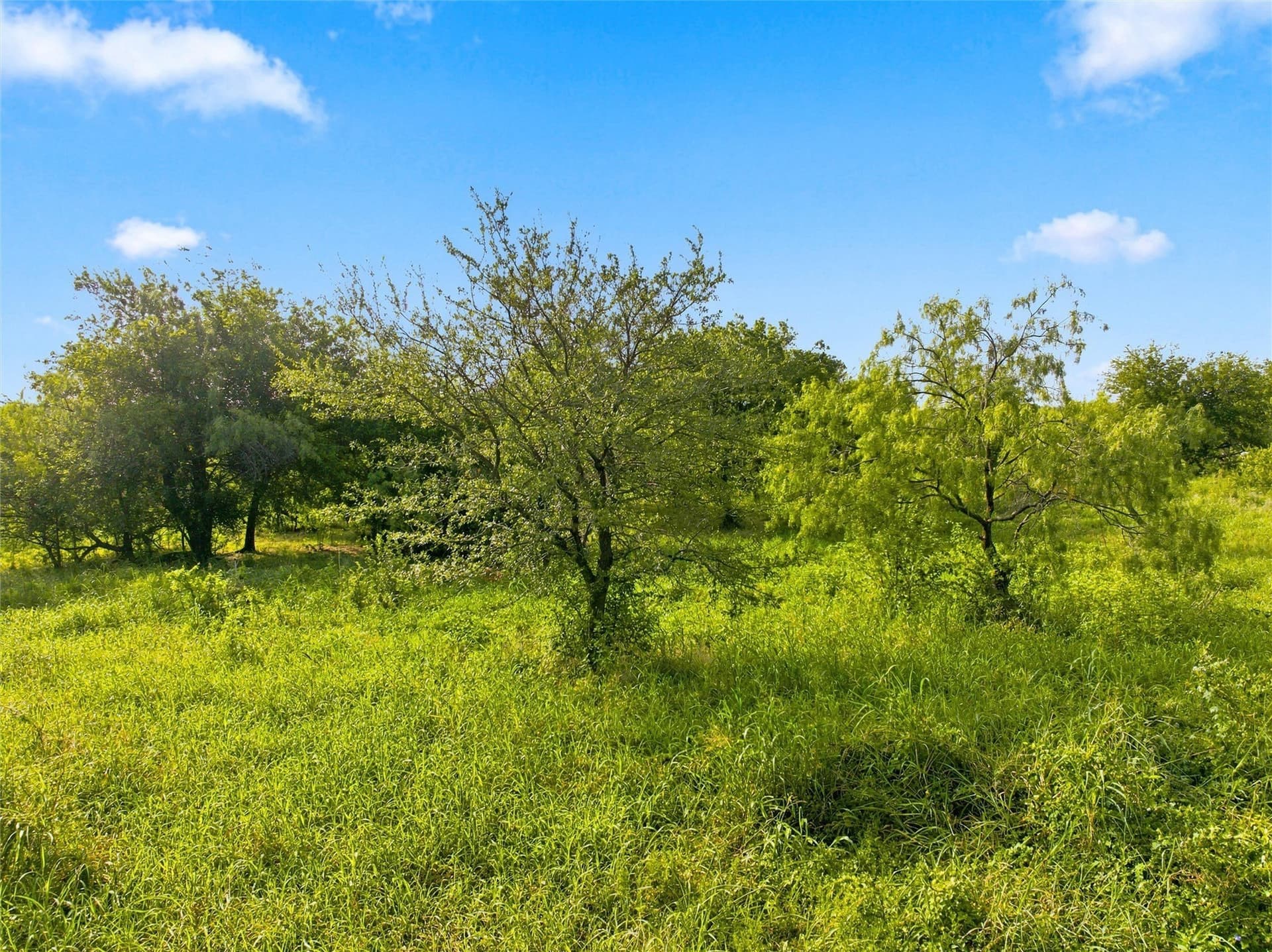 7.87 acres in McLennan County - photo 5