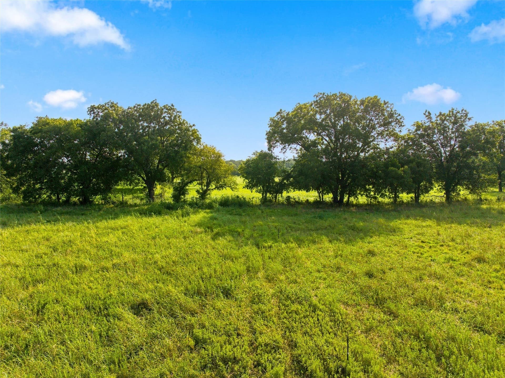 7.87 acres in McLennan County - photo 2