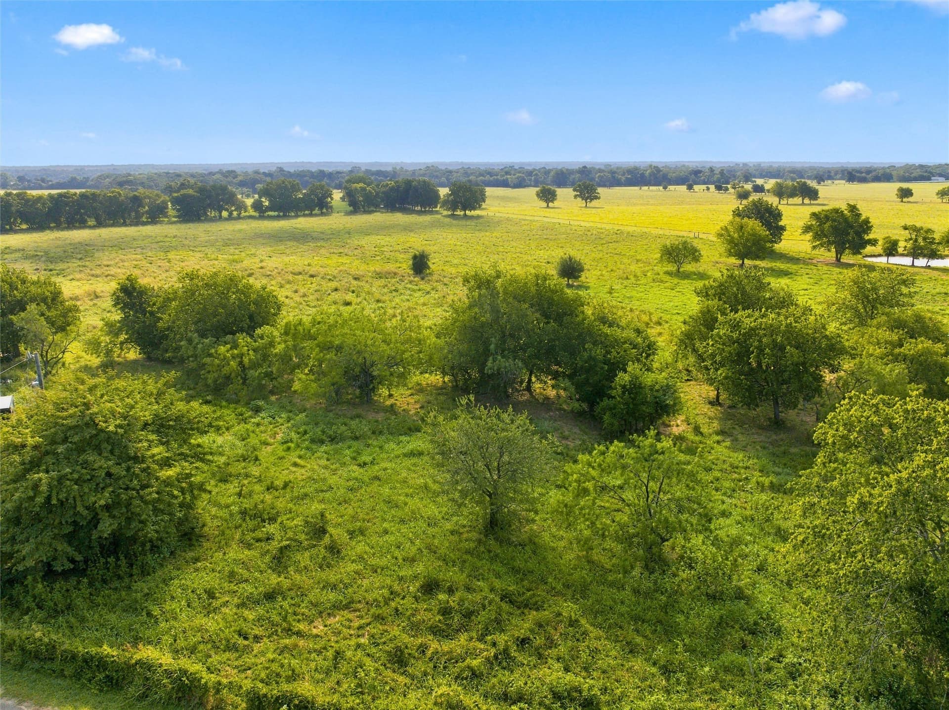 7.87 acres in McLennan County - photo 7