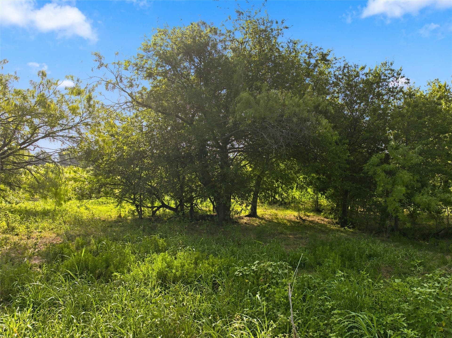 7.87 acres in McLennan County - photo 18