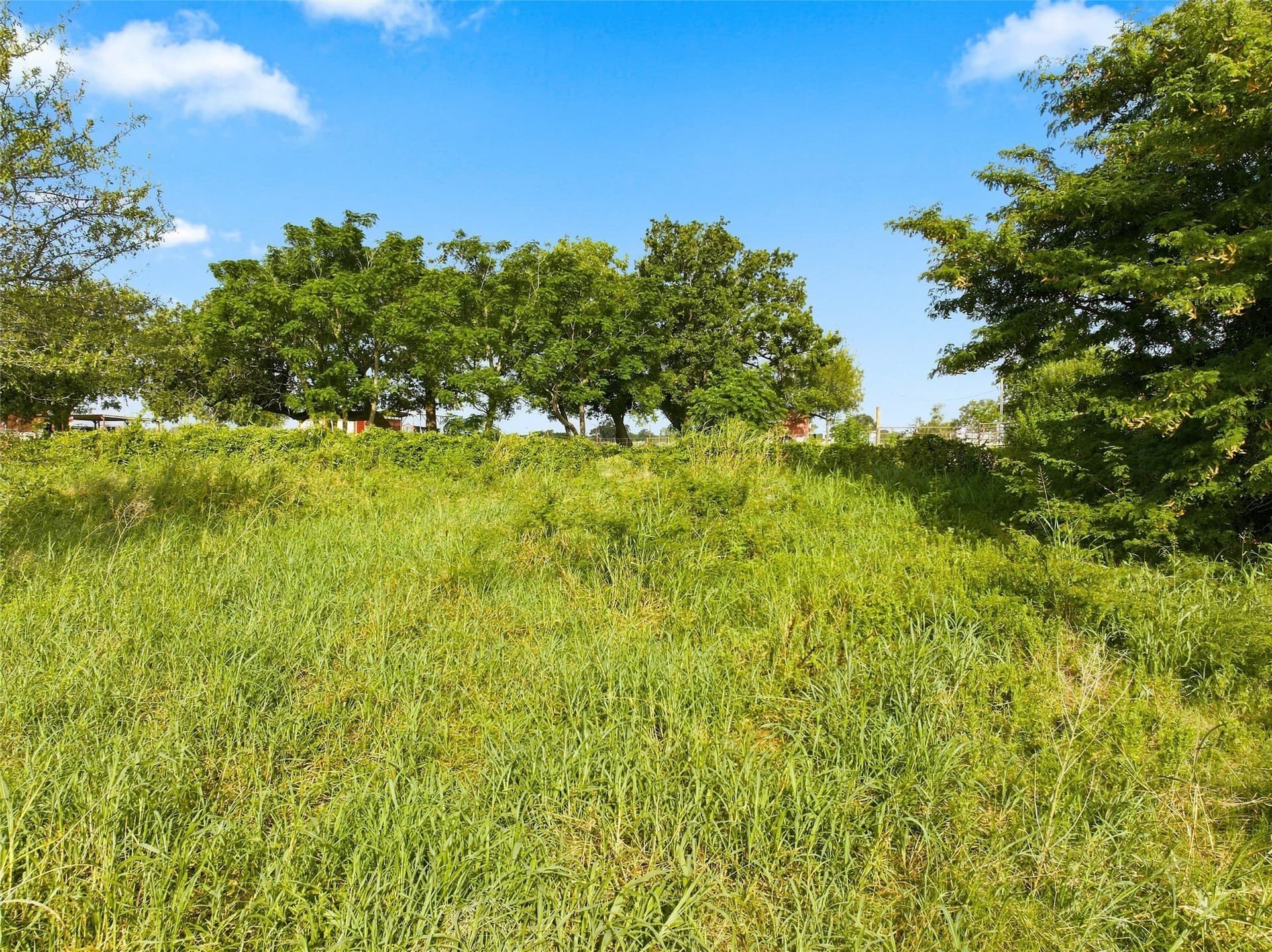 7.87 acres in McLennan County - photo 4