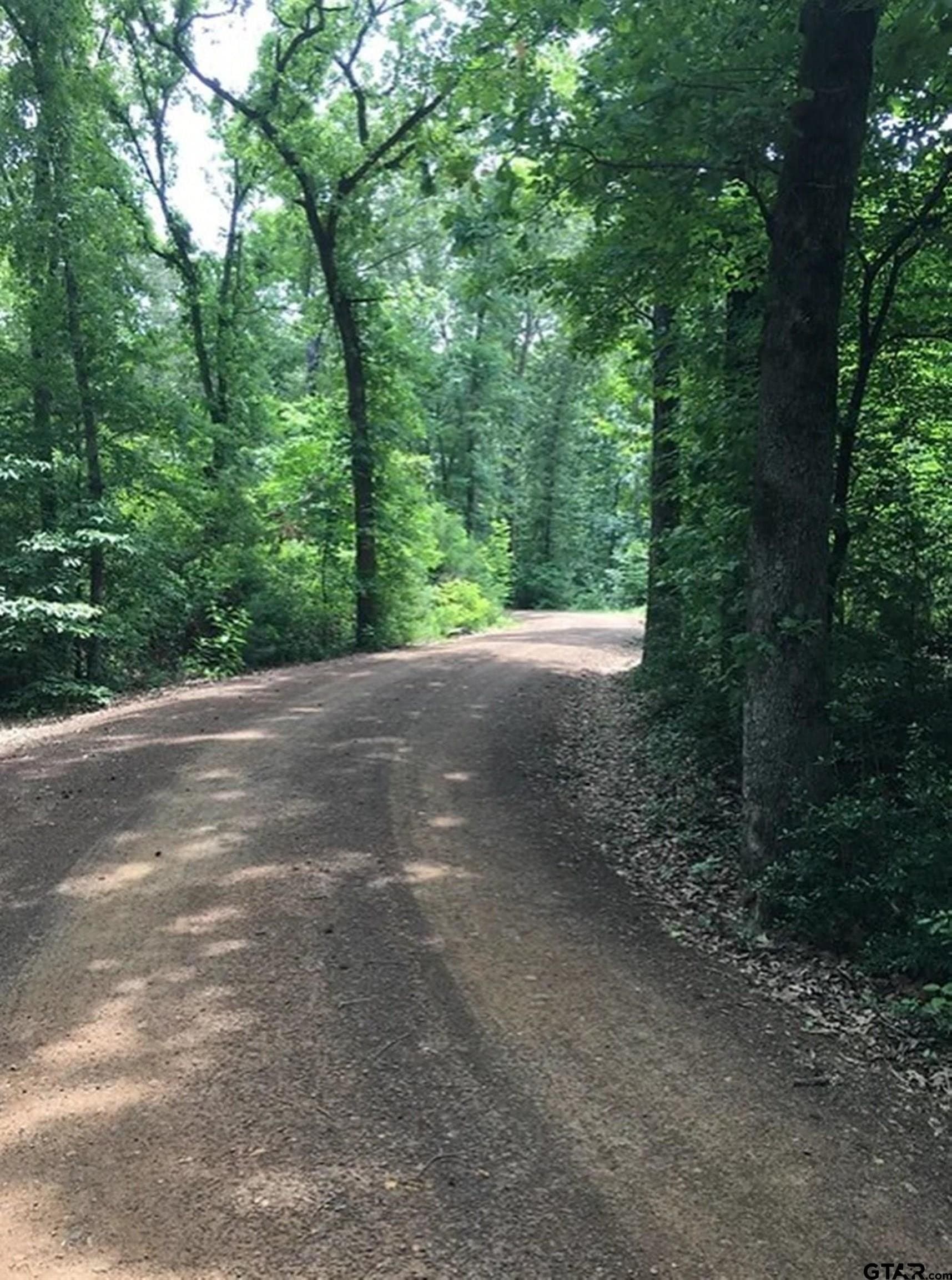 0.75 acres in Anderson County gallery image 4