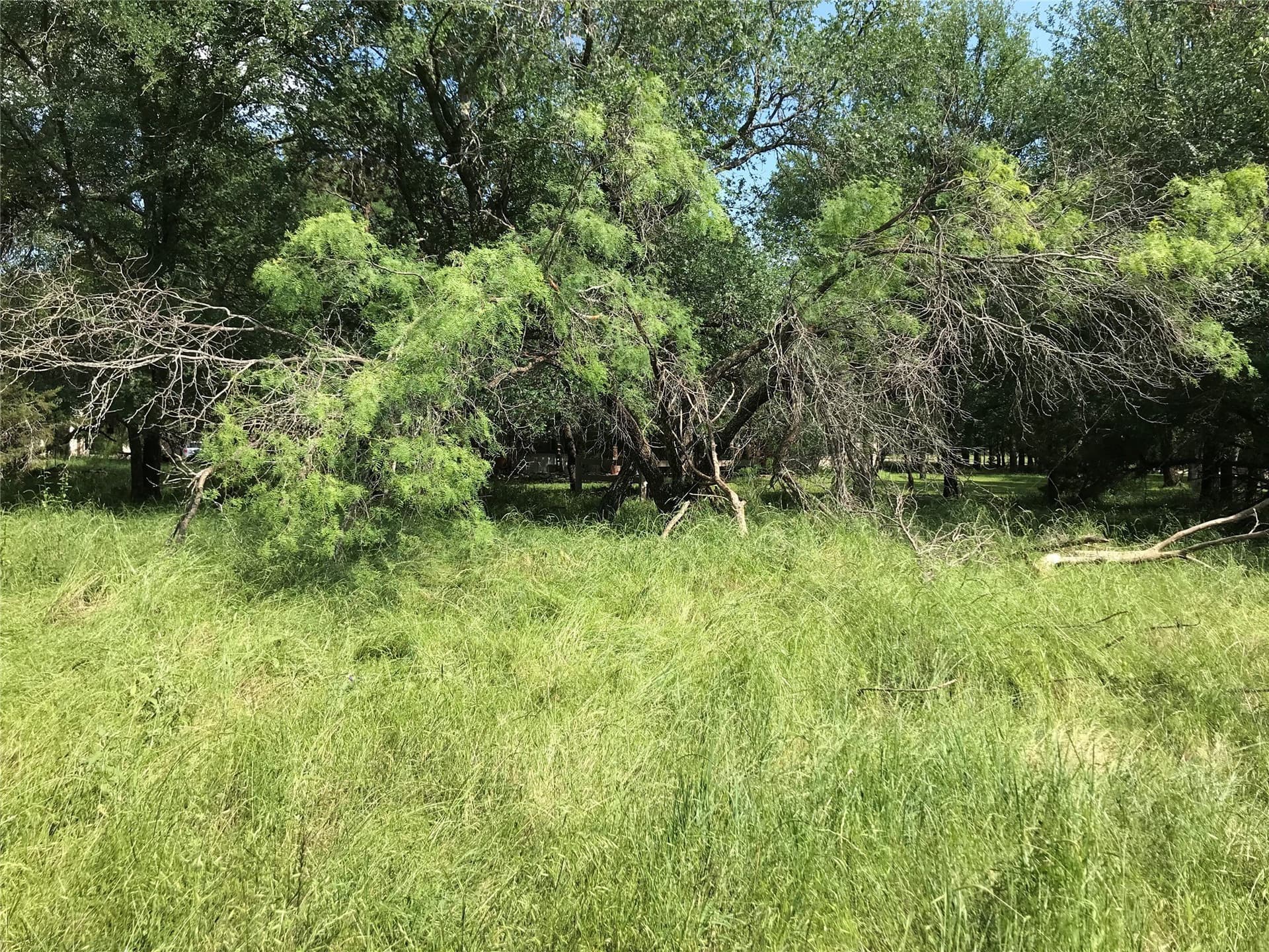 0.92 acres in Hill County - photo 26
