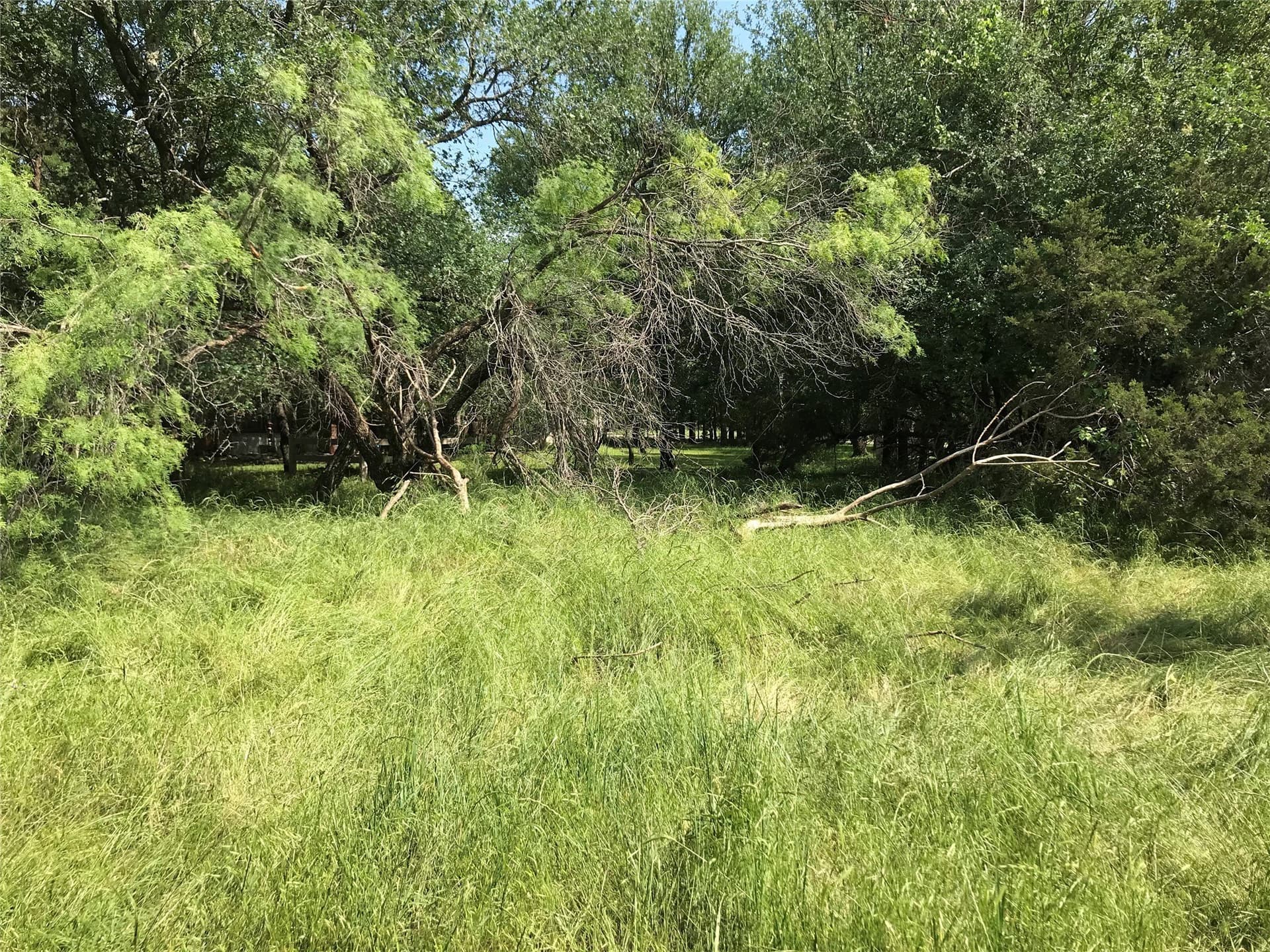 0.92 acres in Hill County - photo 27