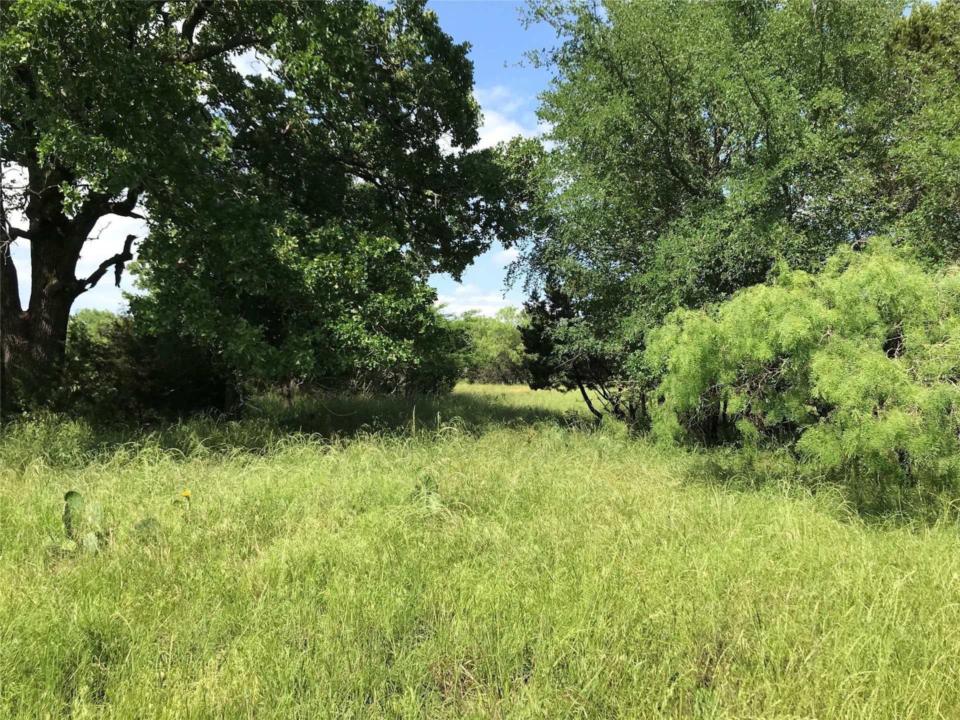 0.92 acres in Hill County - photo 20
