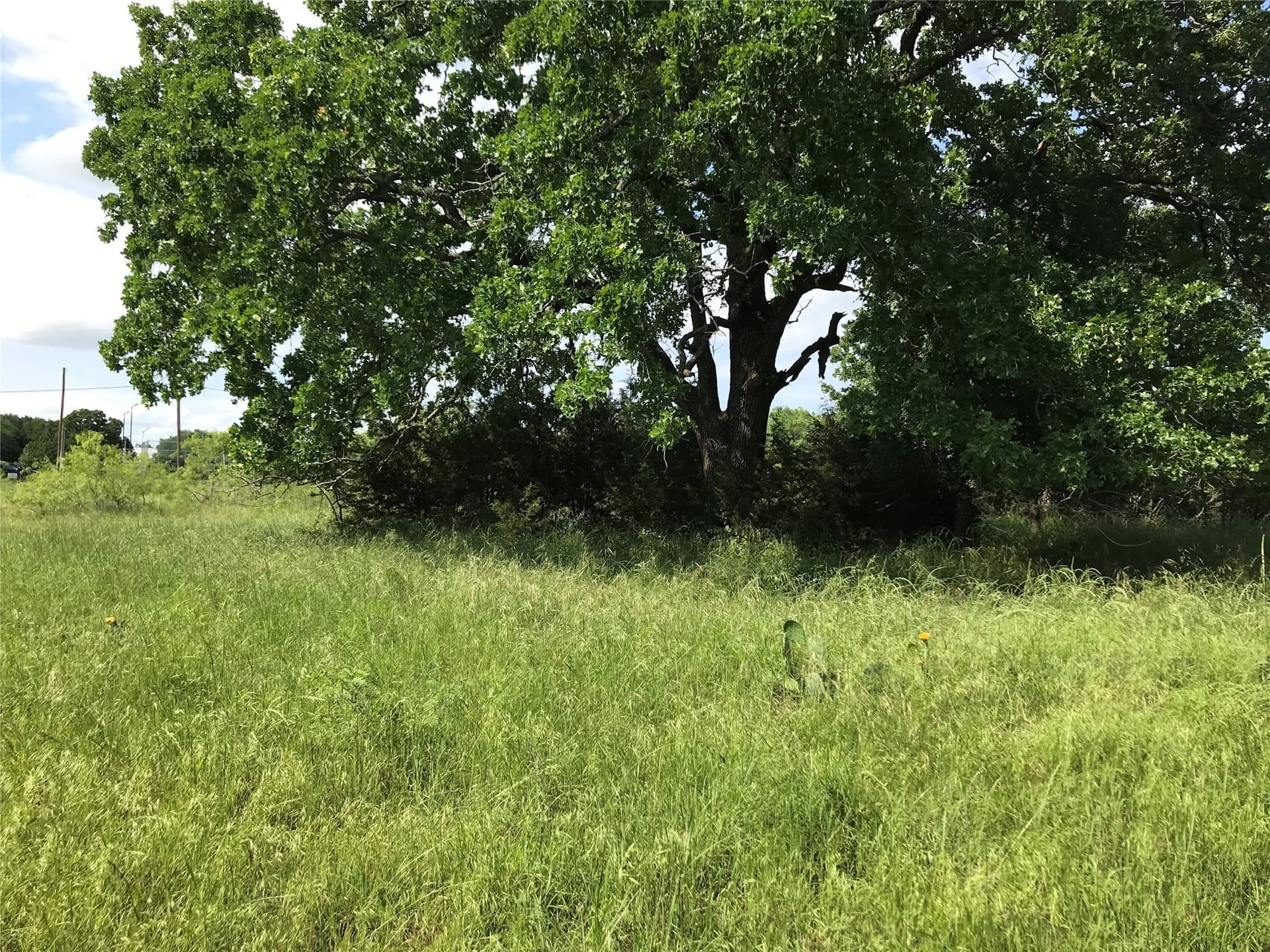 0.92 acres in Hill County - photo 21