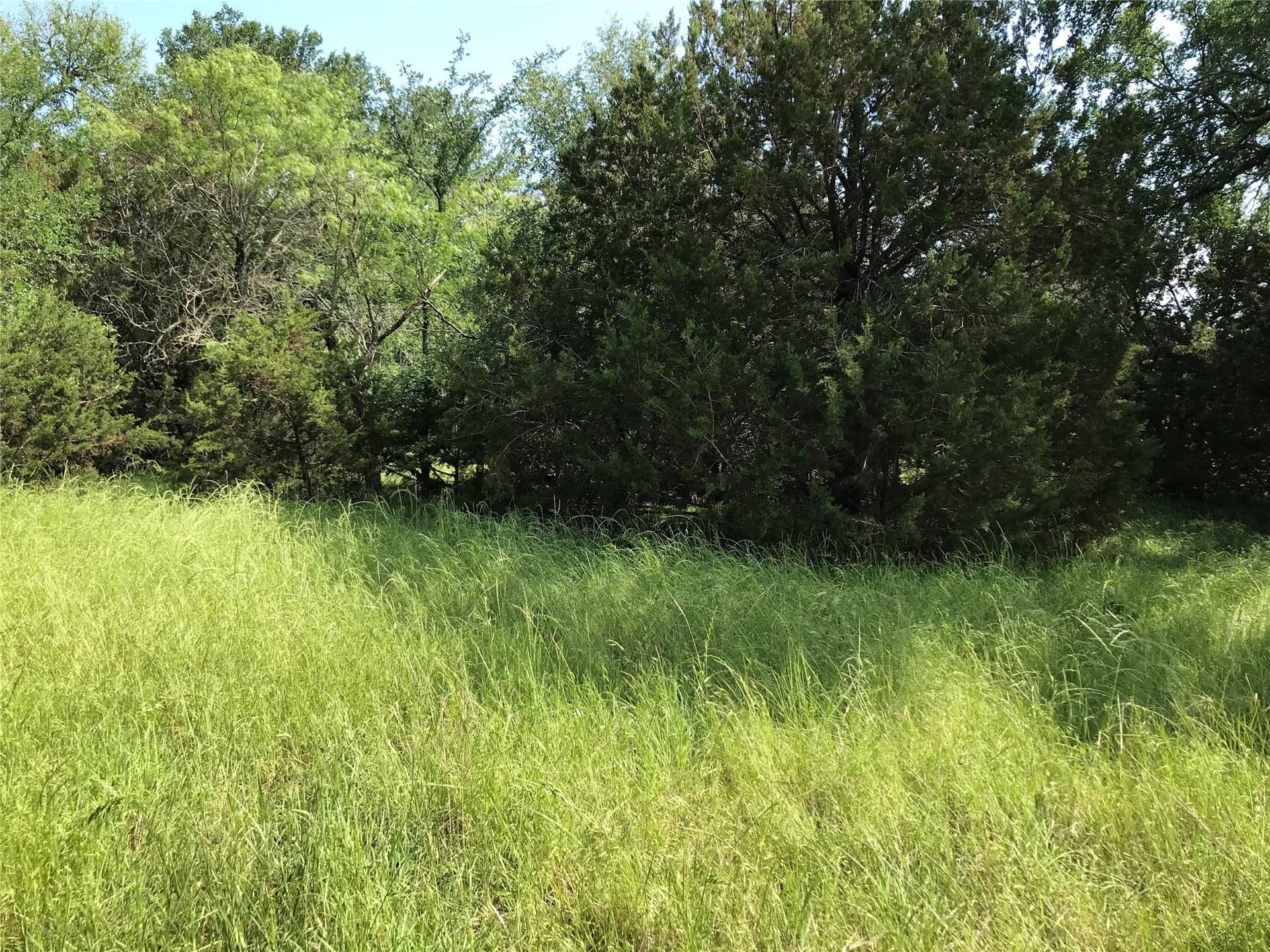 0.92 acres in Hill County - photo 34