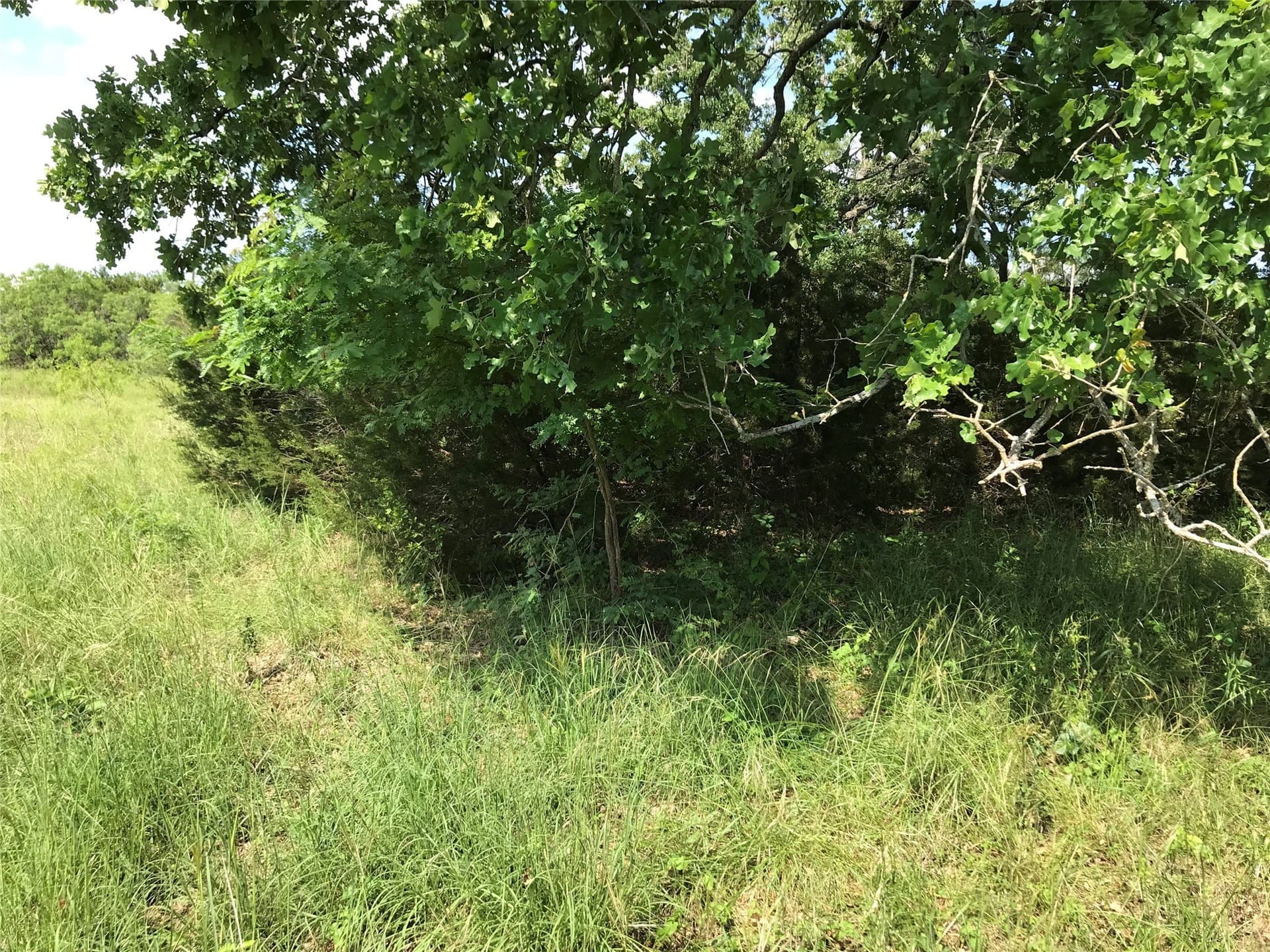 0.92 acres in Hill County - photo 13