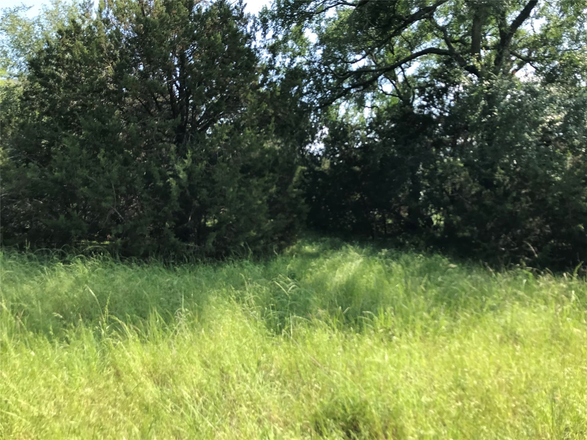 0.92 acres in Hill County - photo 33