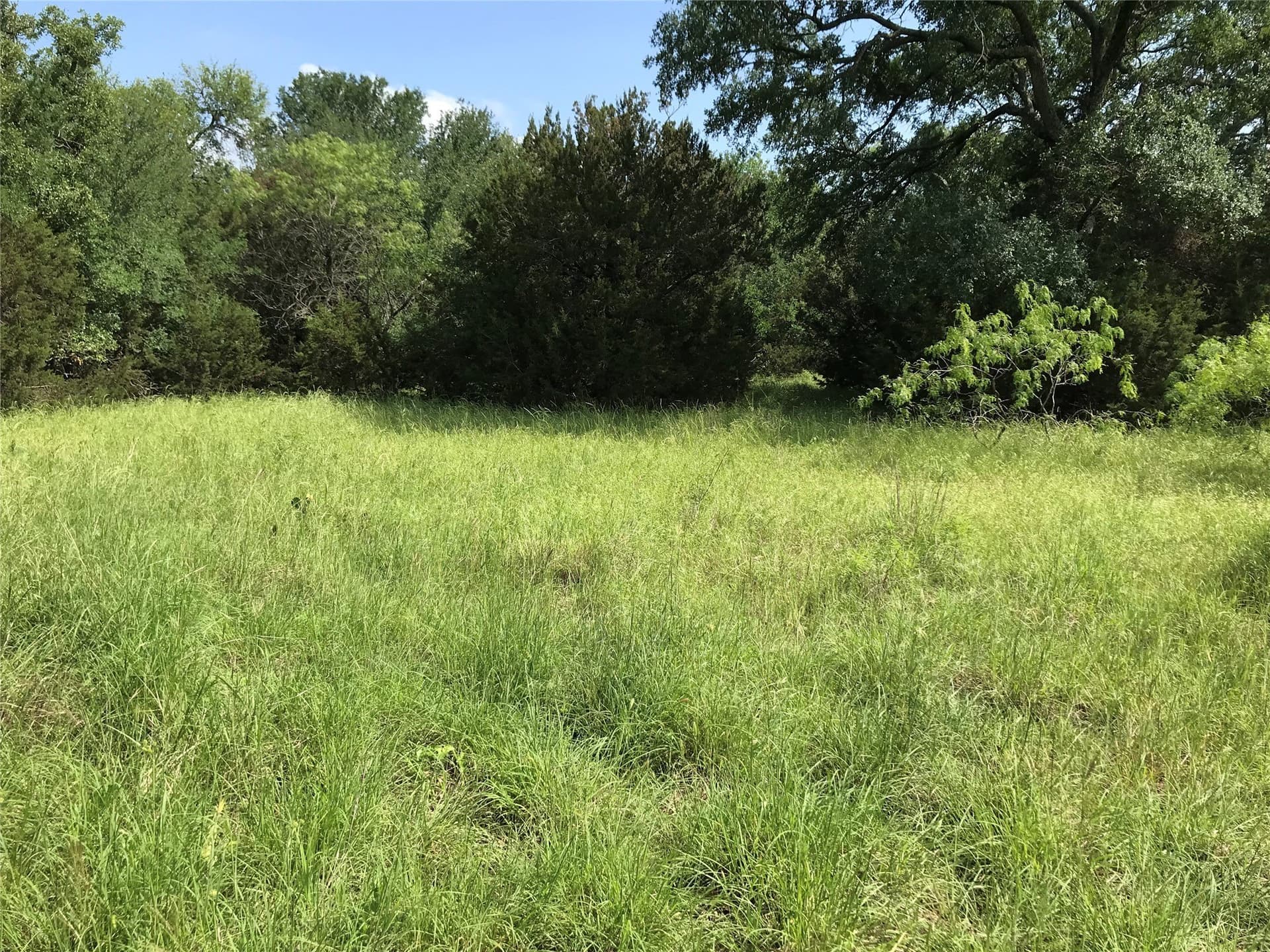 0.92 acres in Hill County - photo 19