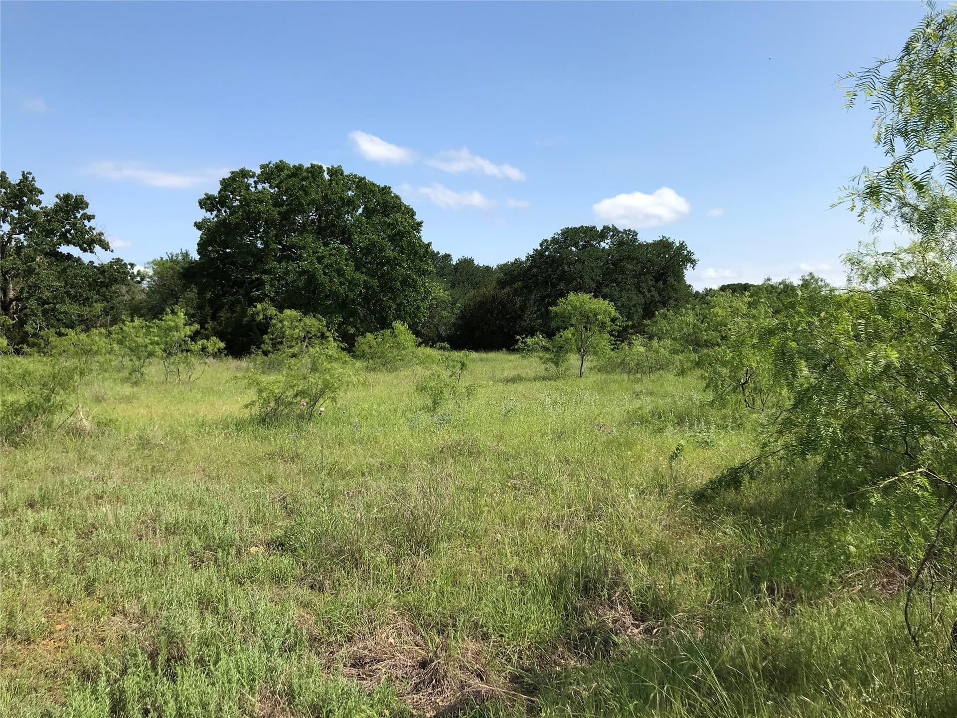 0.92 acres in Hill County - photo 35