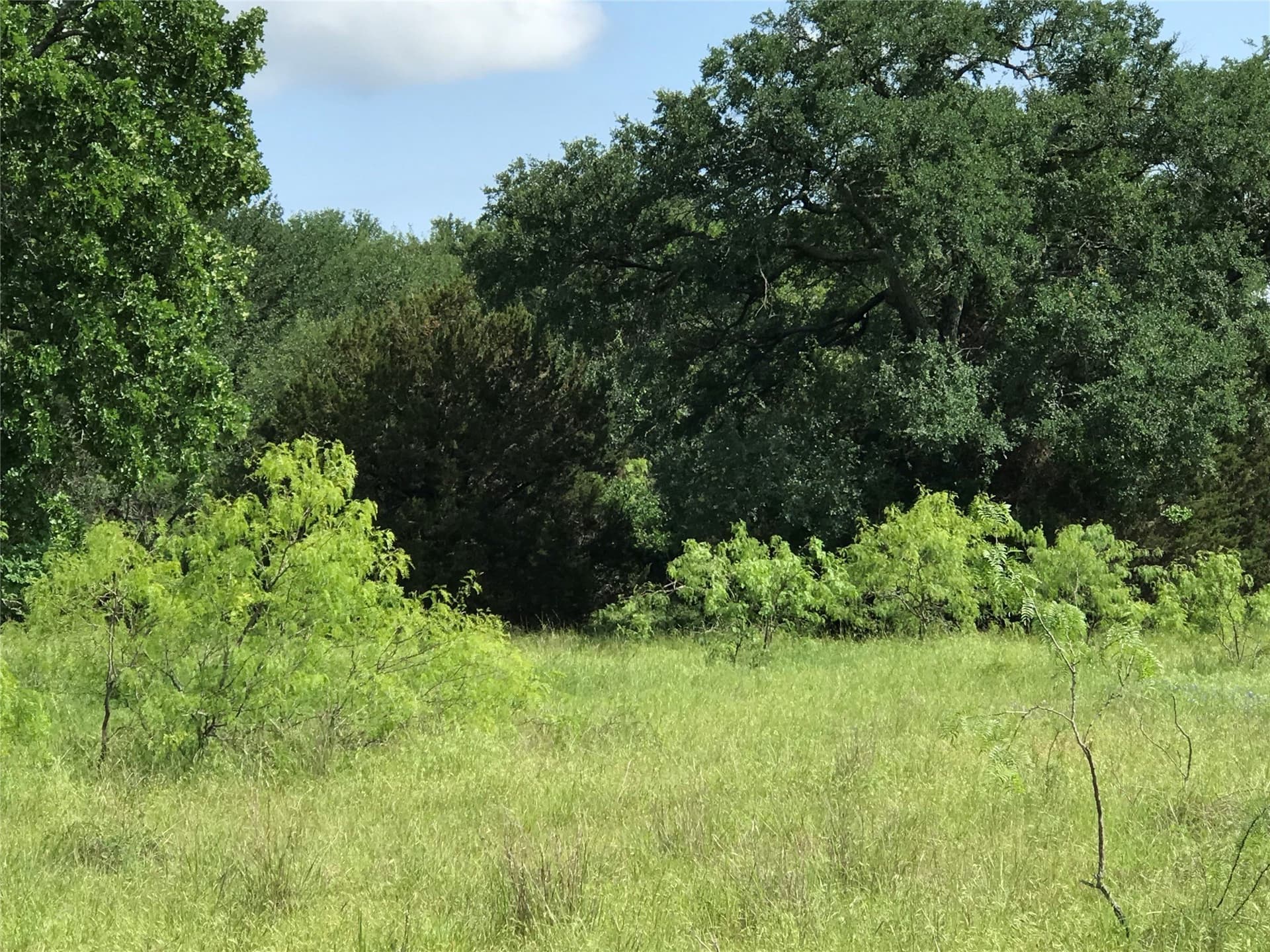 0.92 acres in Hill County - photo 6