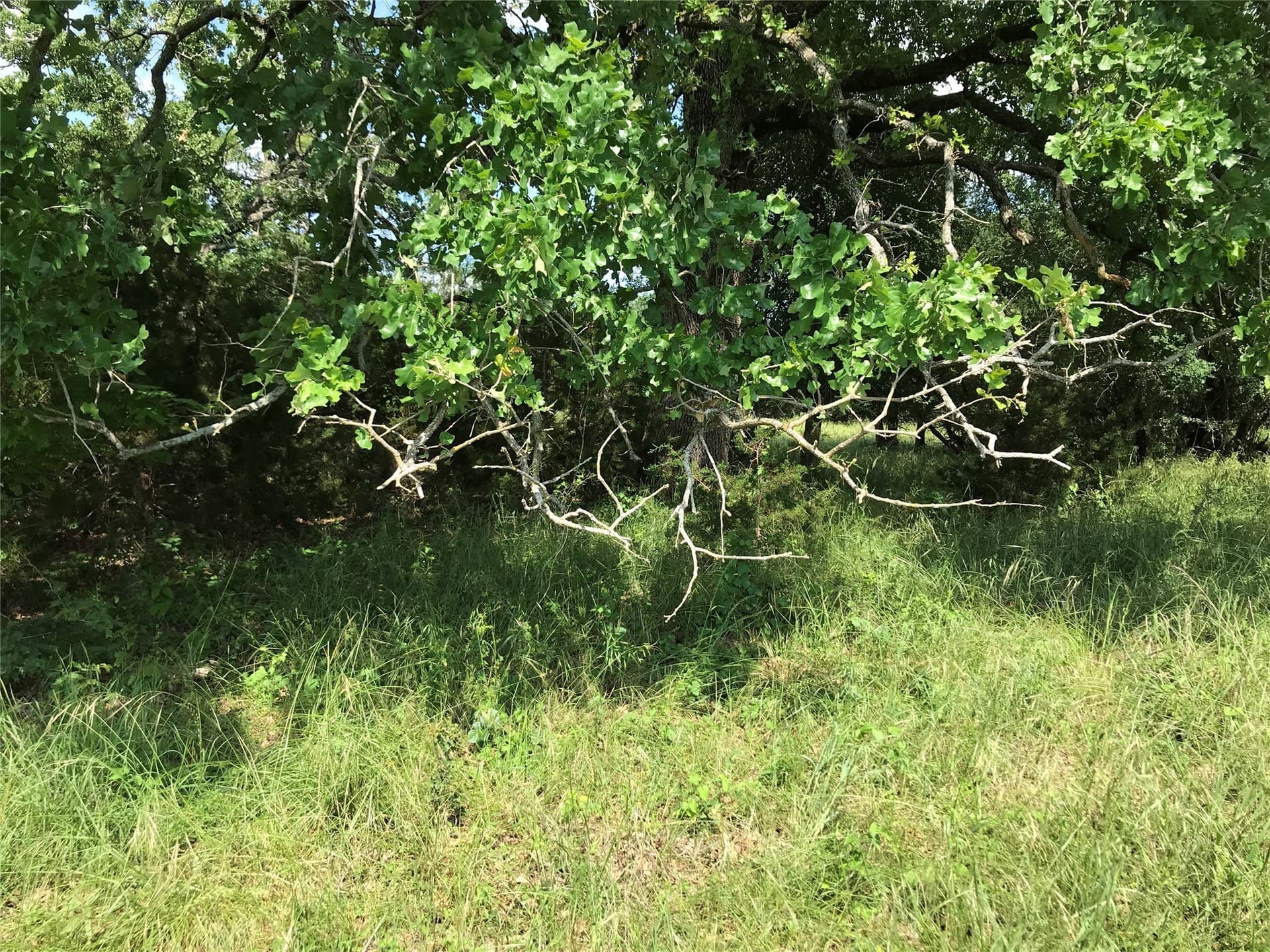 0.92 acres in Hill County - photo 12