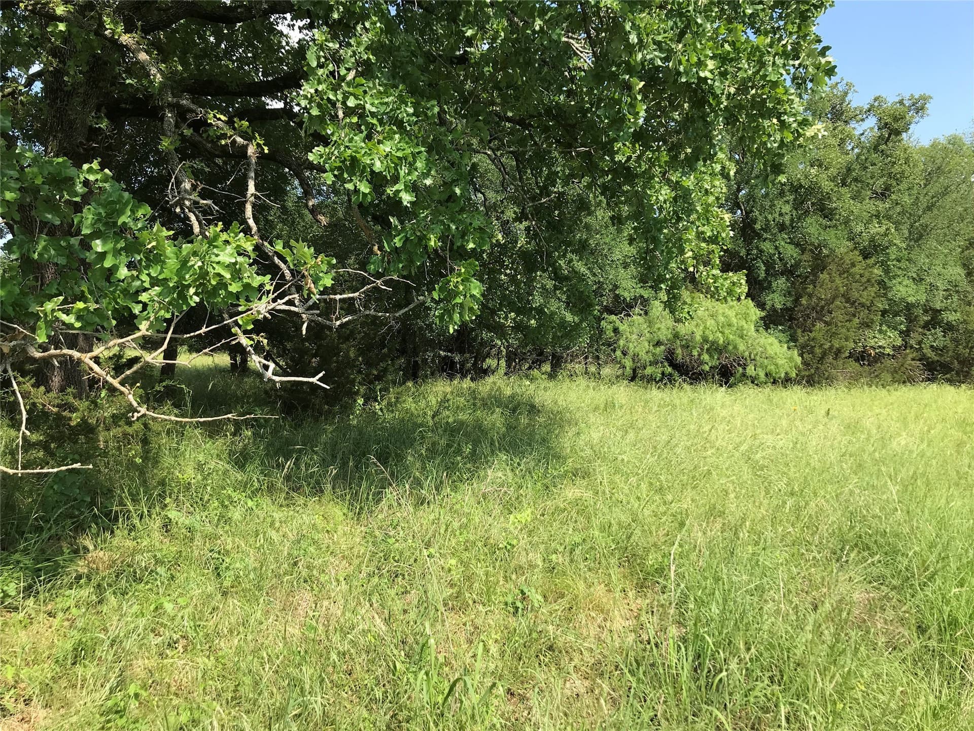 0.92 acres in Hill County - photo 11