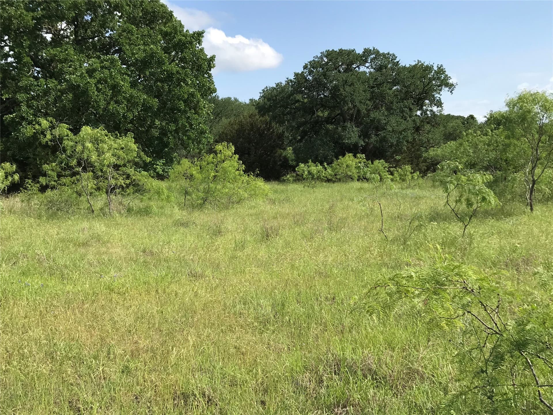 0.92 acres in Hill County - photo 7