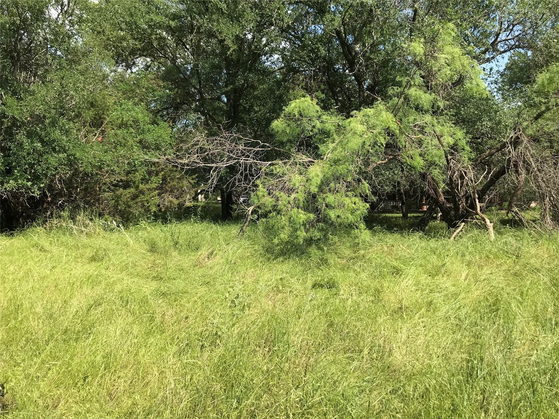 0.92 acres in Hill County - photo 25