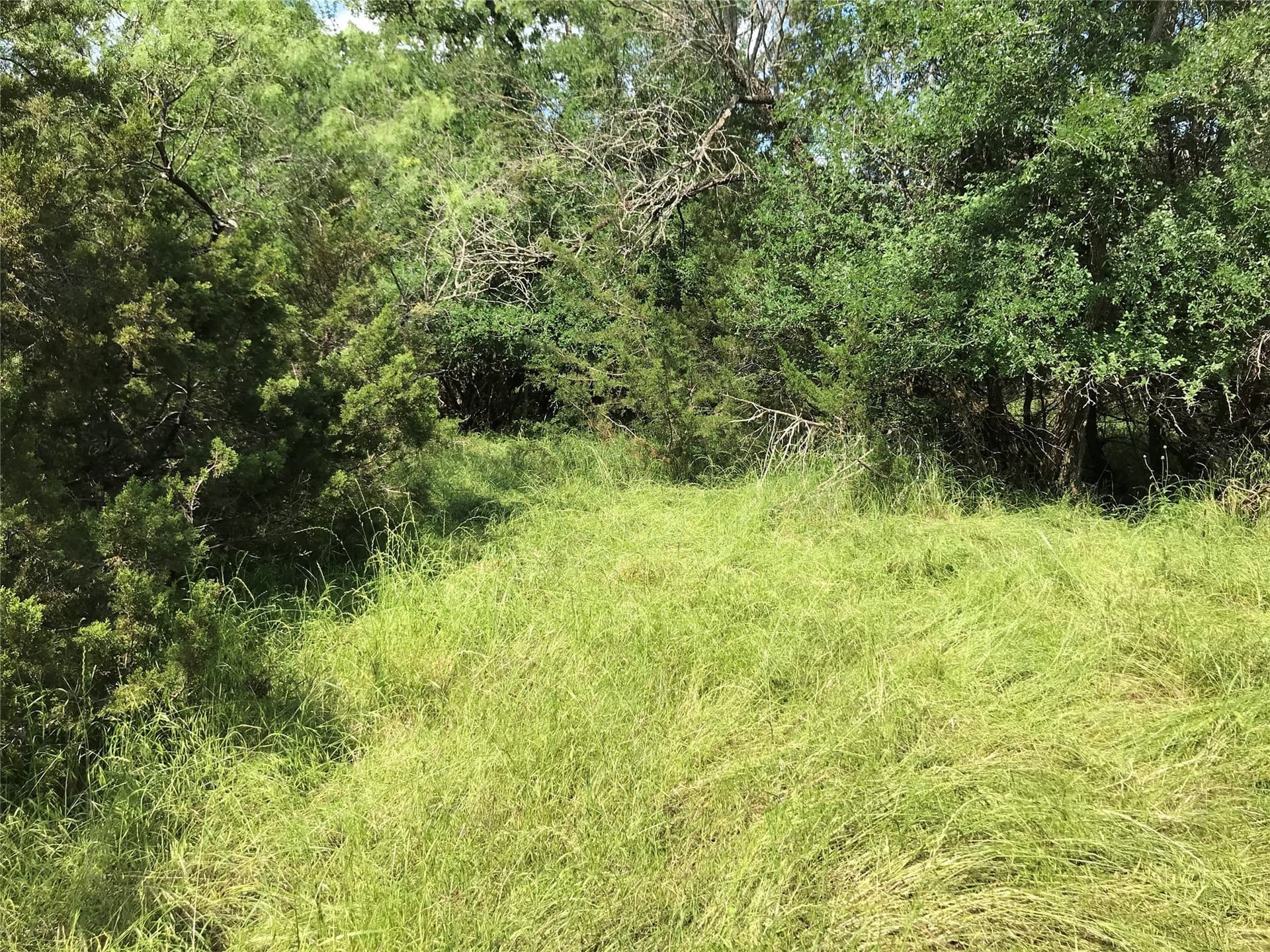 0.92 acres in Hill County - photo 31