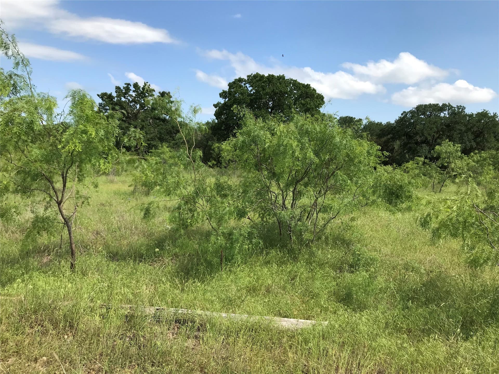 0.92 acres in Hill County gallery image 2