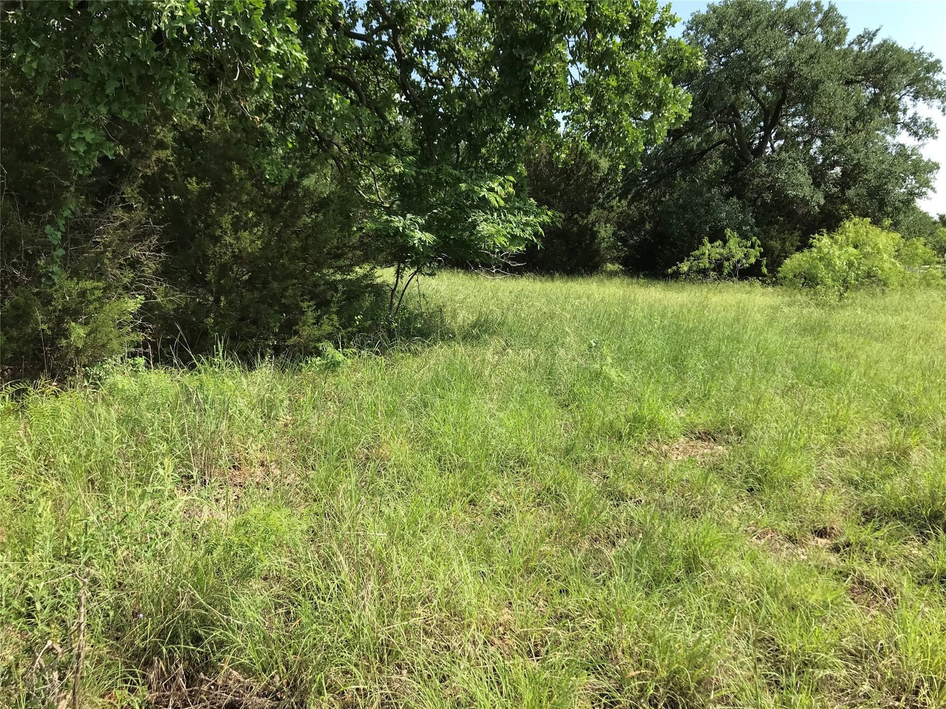 0.92 acres in Hill County - photo 9